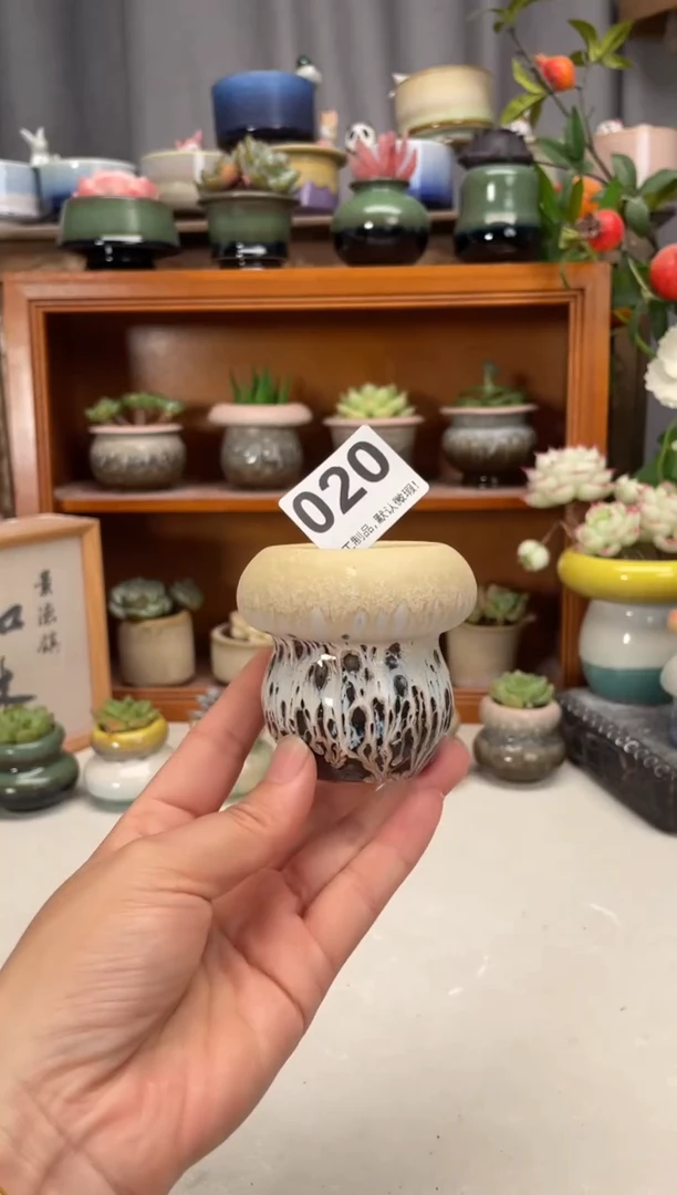 瓷片020知木小芳花盆