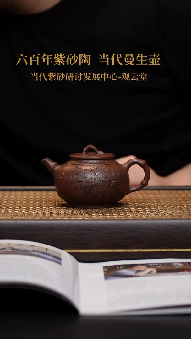 茶壶紫砂壶23 紫玉金砂