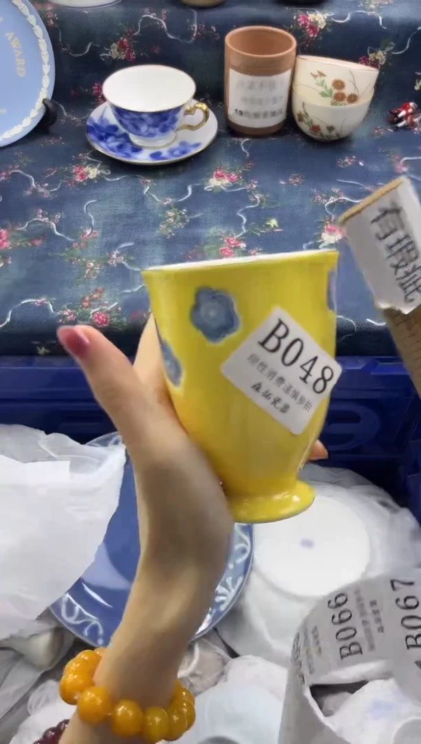 瓷片          B048