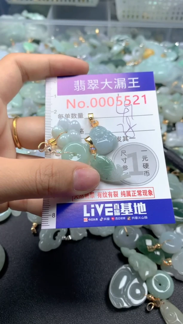 颈饰未镶嵌翡翠5521