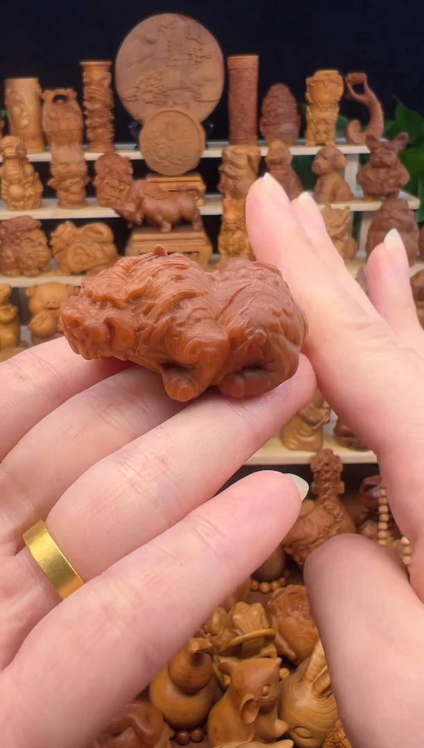 柏木（柏木雅集）太行崖柏