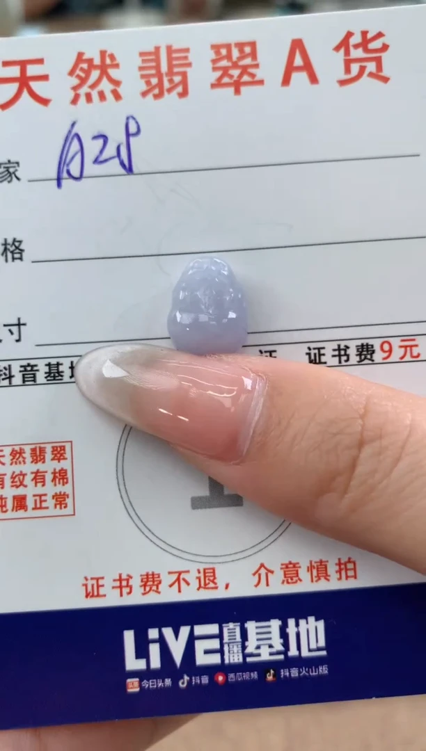 【闪购商品】翡翠颈饰未镶嵌天然A货翡翠挂件