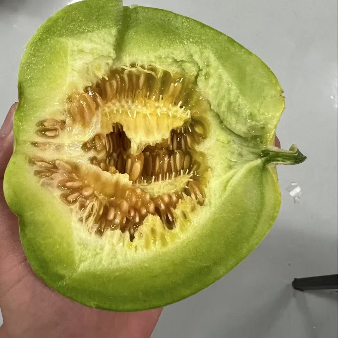 【黄雅静专属】上海本地自种菜瓜
