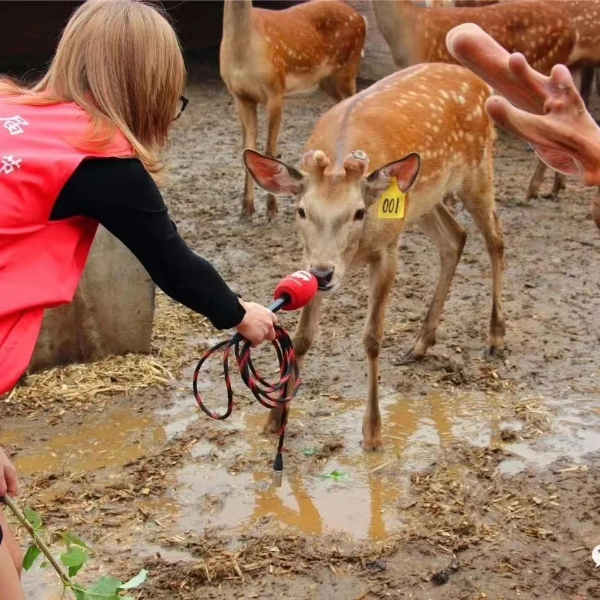 直播间改价链接  鹿产品 路场直发  鹿乡原产地