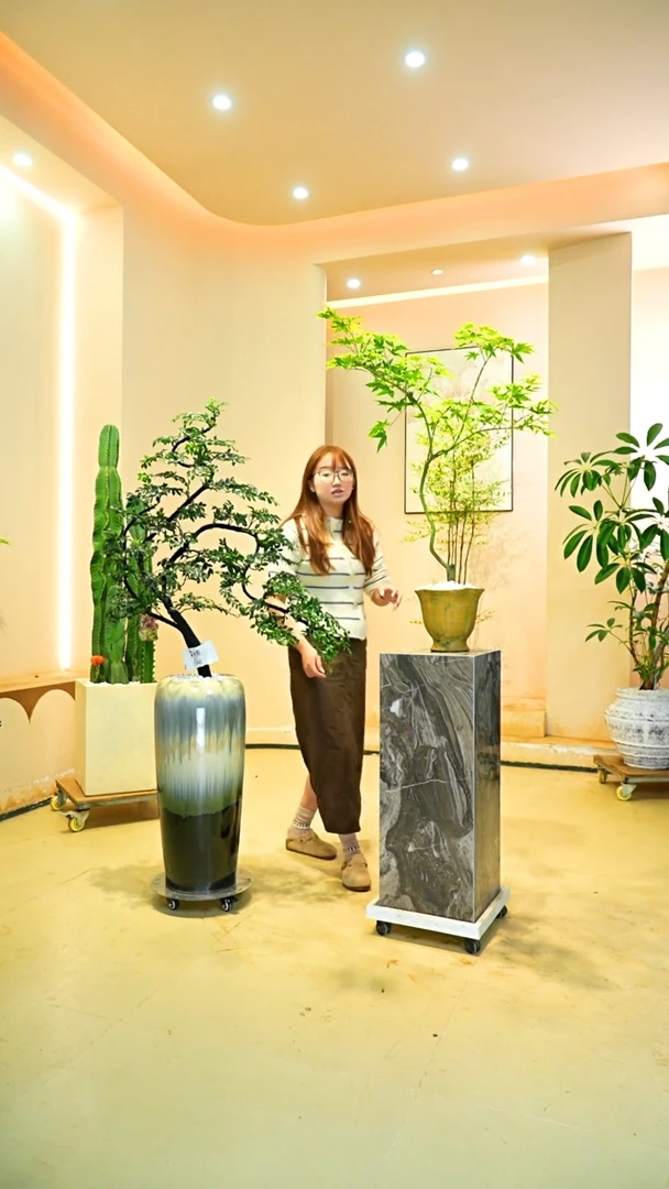 不开花植物卖****孩一物一拍桌面款流泉枫