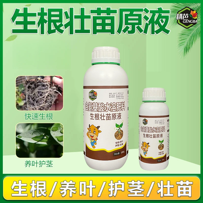 耕芭生根壮苗原液生根壮苗剂生根液移栽扦插壮根植物通用