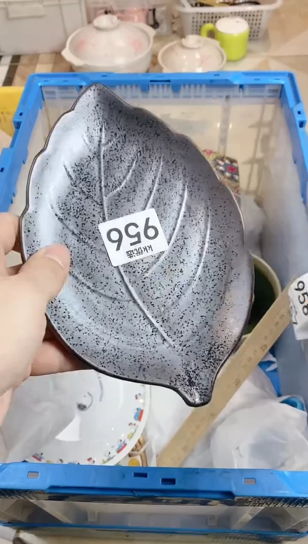 【闪购商品】瓷片956定向 看看定向 看看定向 看看