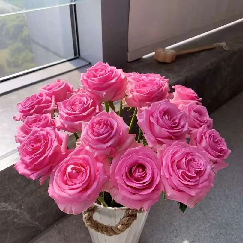 苏醒玫瑰鲜花礼盒浪漫花束送礼佳选