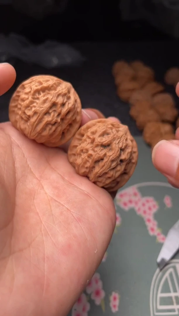 把件文玩核桃a251  龙脉 37尺