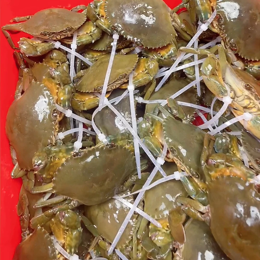 现称链接 东山岛青蟹  勿放冰箱