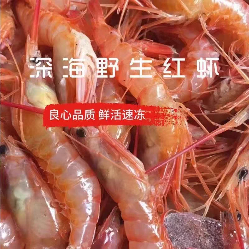 【鲜活发货】东海活虾鲜虾硬壳虾红落头虾管鞭虾海鲜水产批发500g