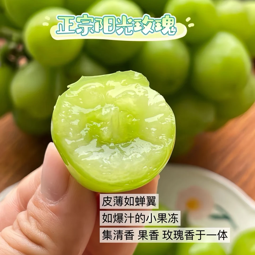 【不泡药水】阳光玫瑰青提葡萄香甜爆汁新鲜采摘水果鲜嫩多汁5/8斤