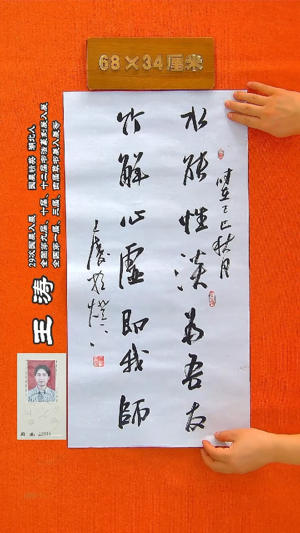 书法27a王涛书法作品