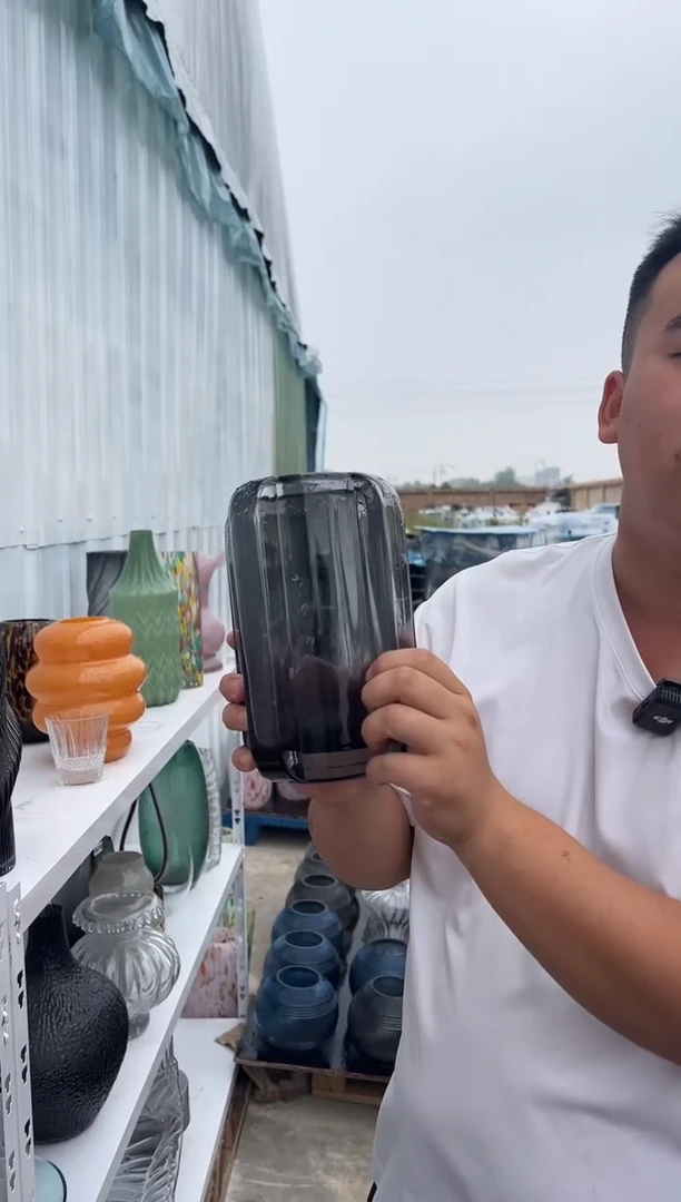 玻璃花瓶用于客厅桌面插花装饰