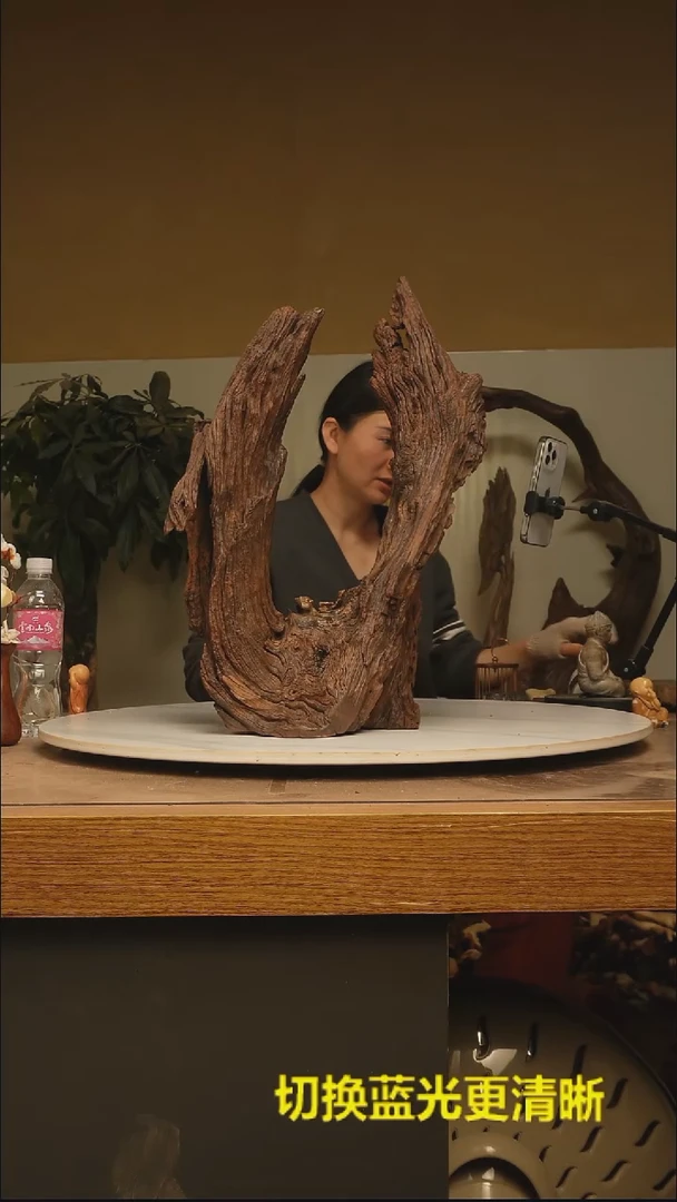 木何*根雕摆件类084