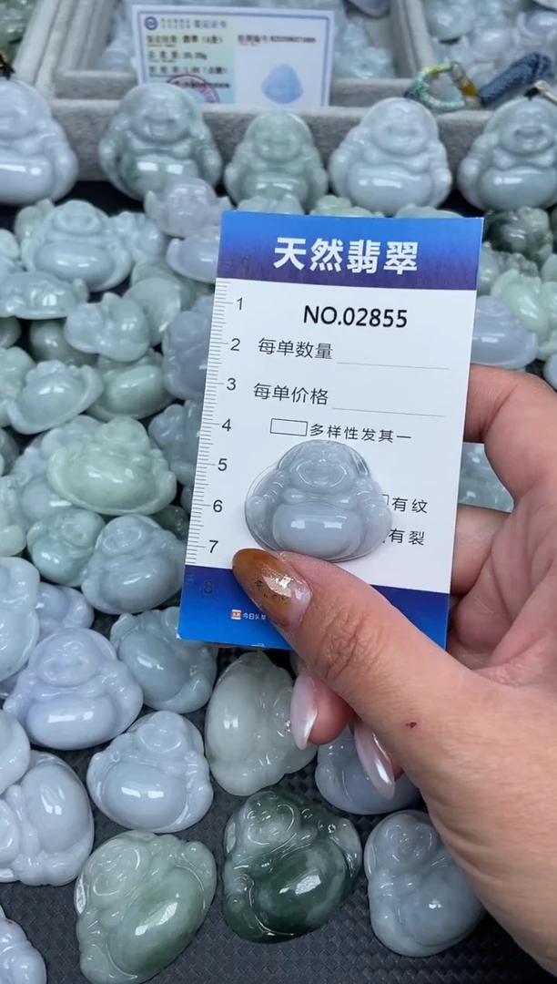 颈饰未镶嵌翡翠纯天然A货翡翠2855