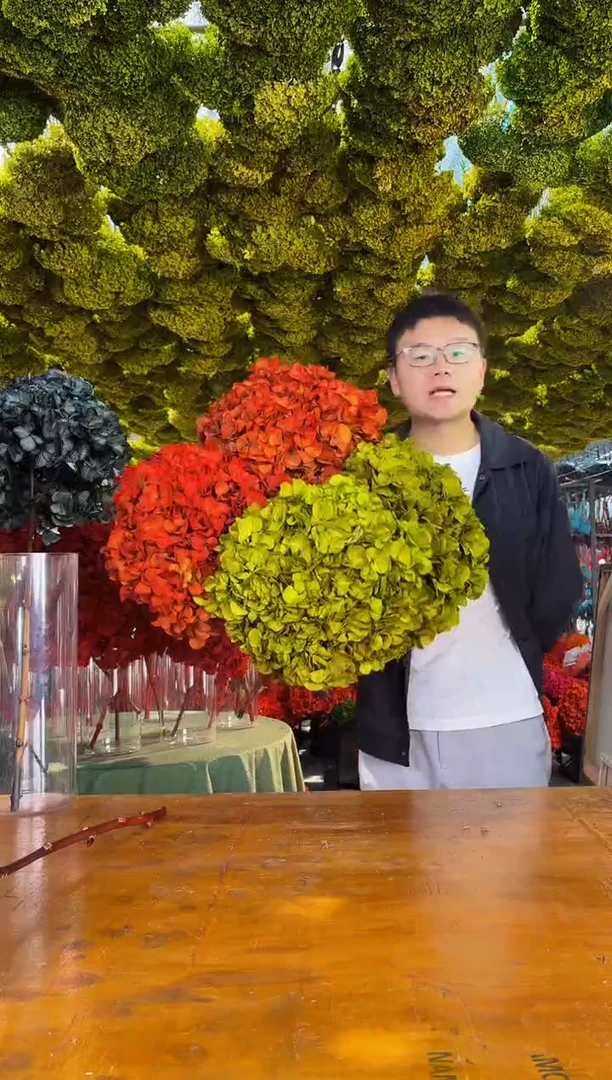 96  山前小麦 · 荷兰进口永生大叶绣球 4枝（2绿/2橙）