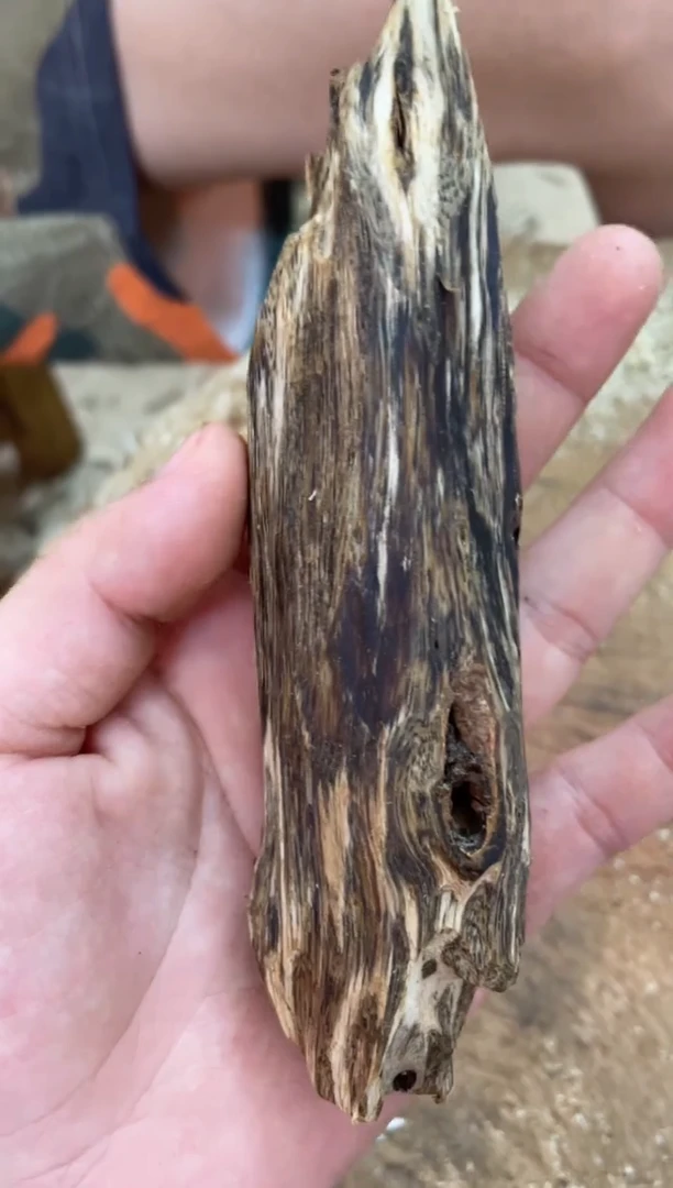 沉香碎屑沉香棋楠沉香 原料文创1