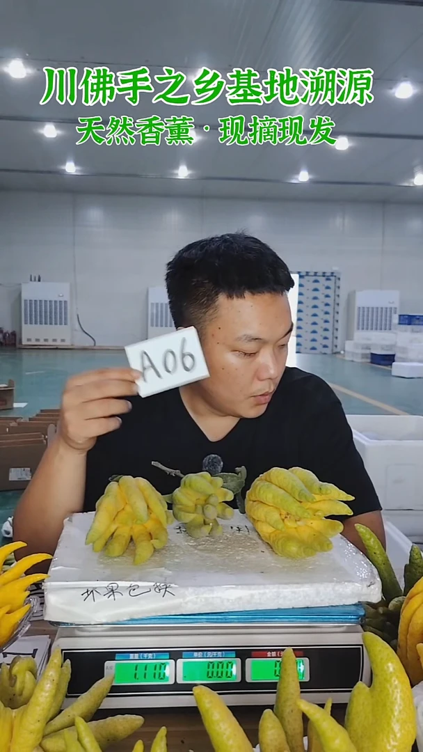 柑橘【一物一拍】川佛手柑鲜果A06
