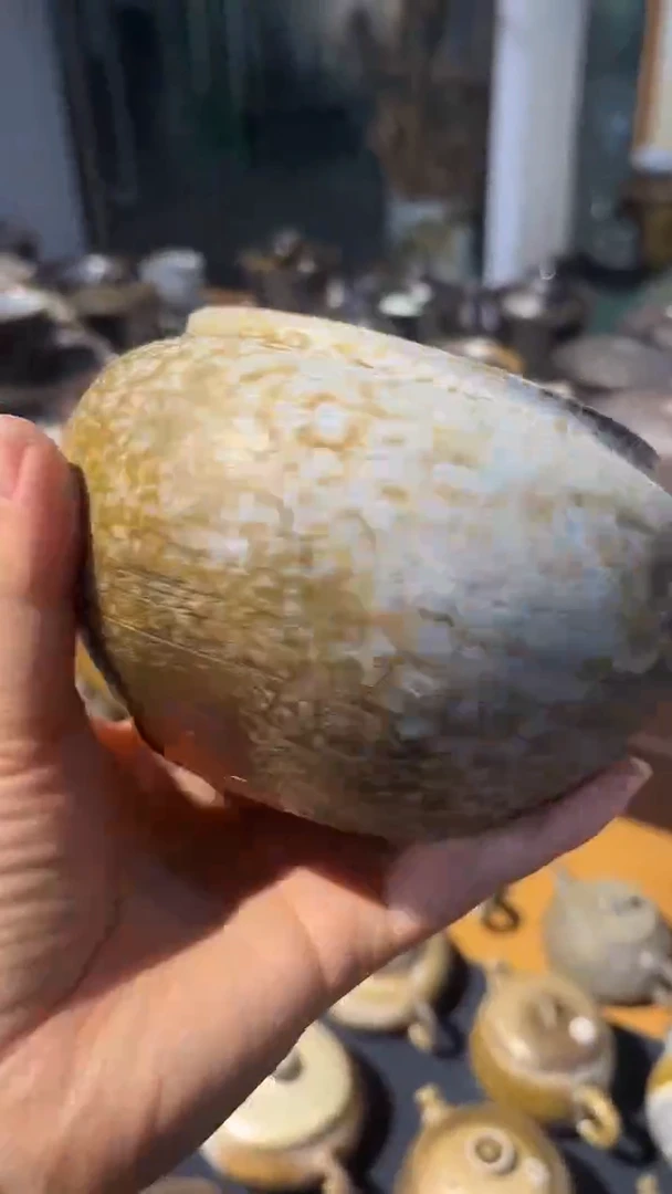 建水689号容量500+ML陶泥