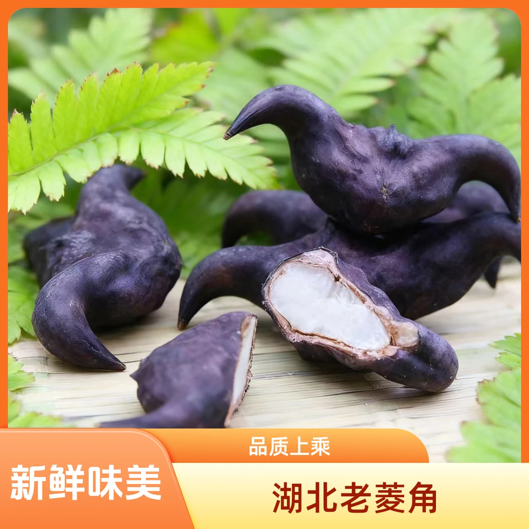 湖北老菱角新鲜老菱角粉糯香甜现摘现发特色水生蔬菜