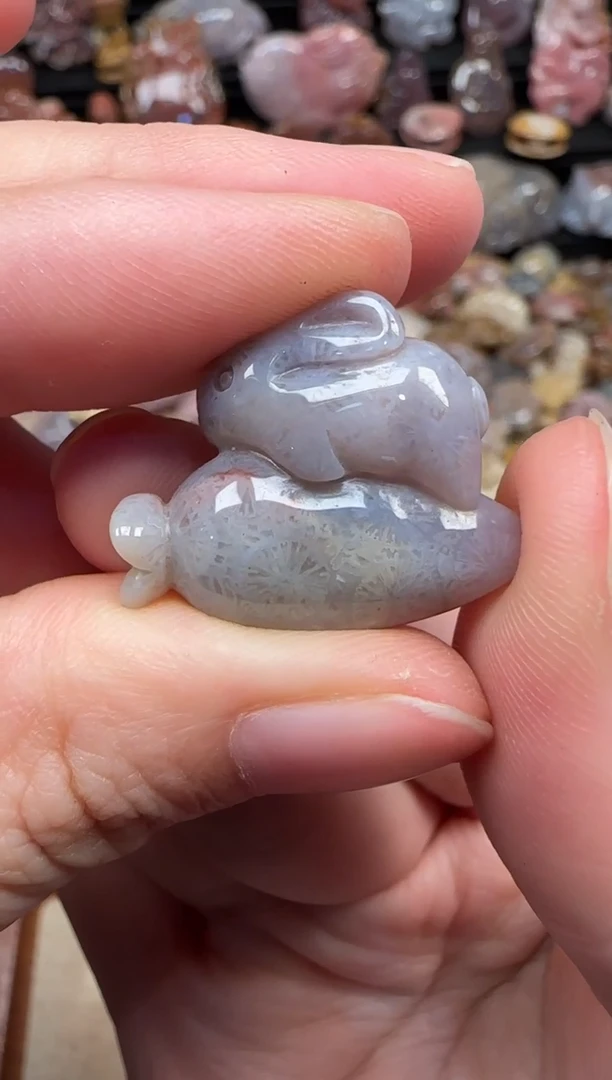 颈饰未镶嵌硅化珊瑚（珊瑚玉）289