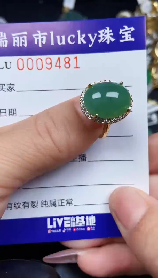 翡翠银S925镶嵌颈饰9481