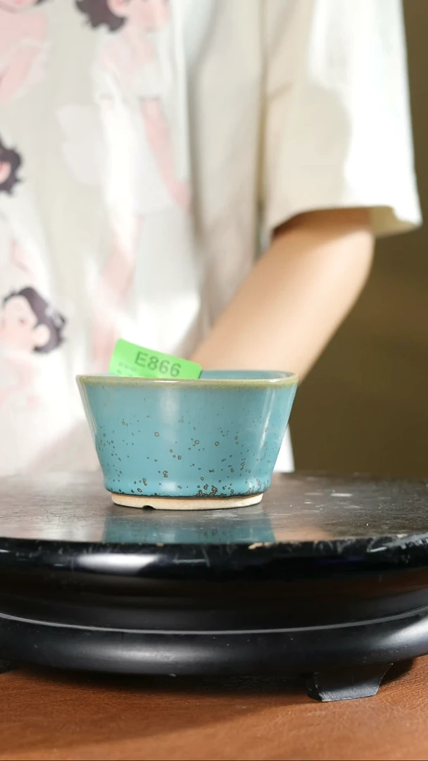 4寸小圆盆    866
