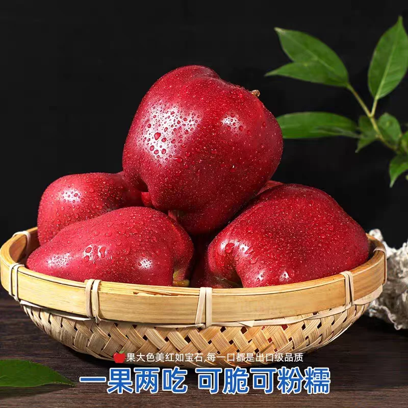 【甘肃天水】花牛苹果新鲜水果当季正宗平果丑果孕妇整箱包邮