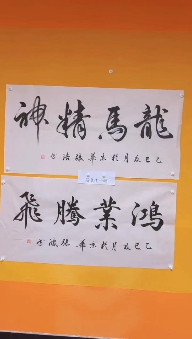 书法雄风堂书法作品 多样性