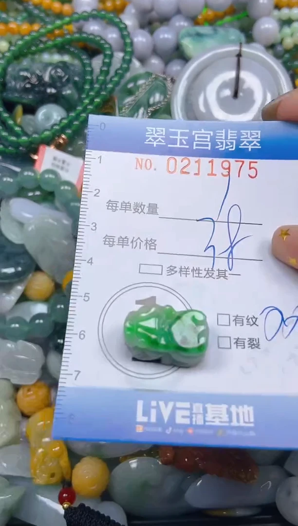 颈饰未镶嵌翡翠闪购C0211975