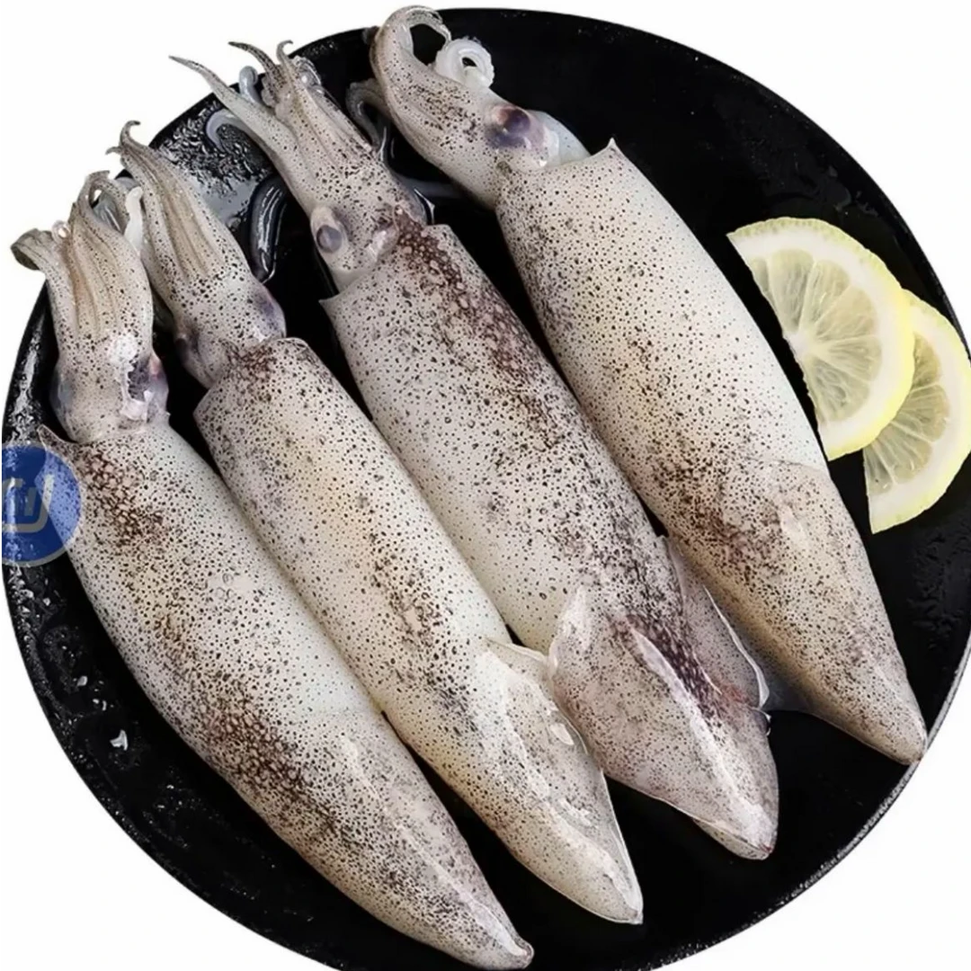 鲜活速冻大个笔管鱼 大海兔 500g/包   到手4+1包