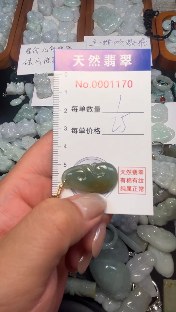 翡翠未镶嵌吊坠(不含链)1170