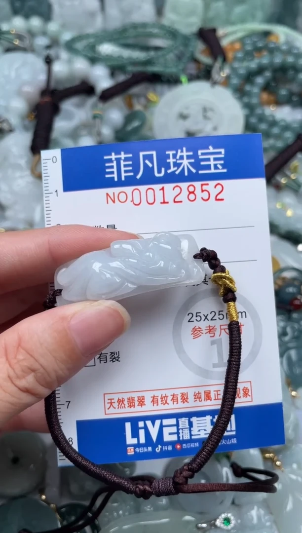 颈饰未镶嵌翡翠12852