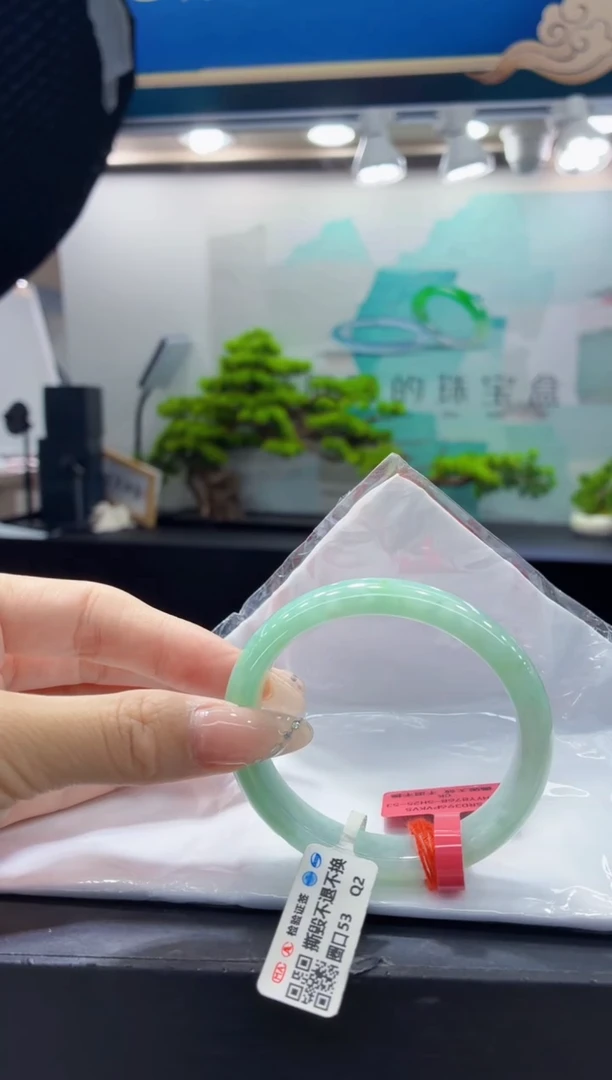 未镶嵌手镯翡翠10