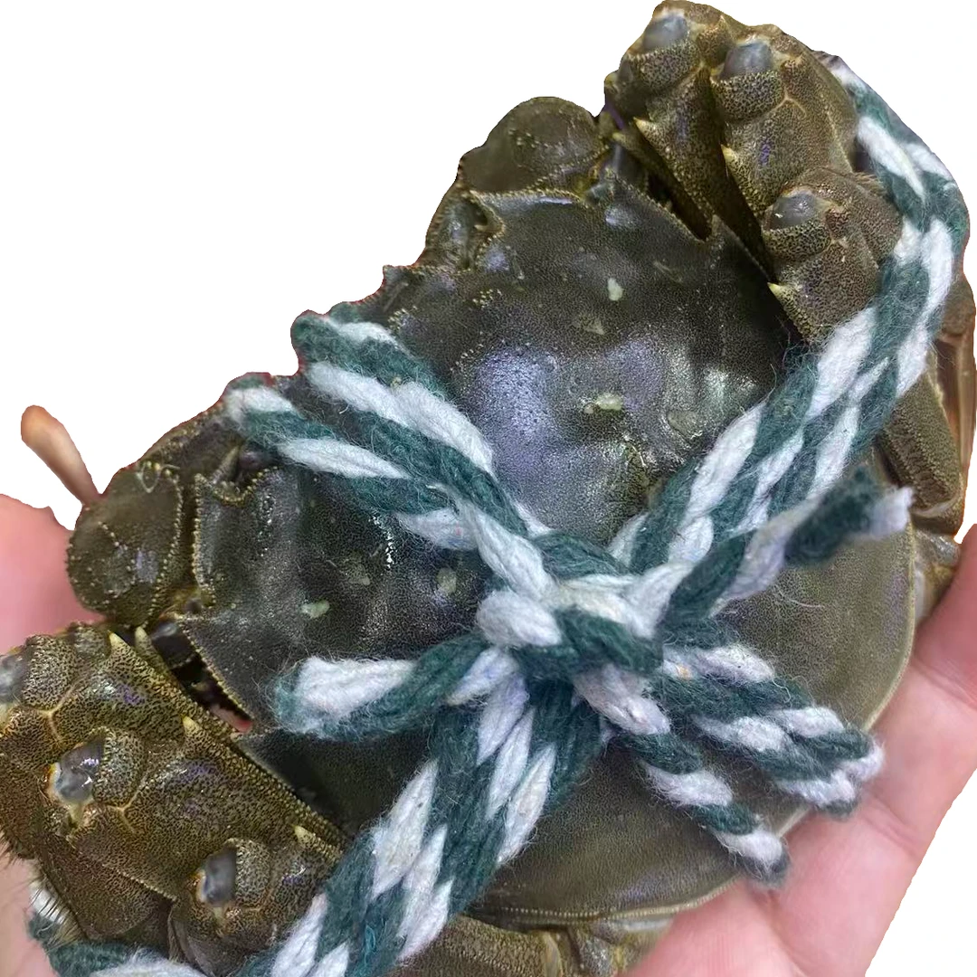 2.2两母江苏大闸蟹5只