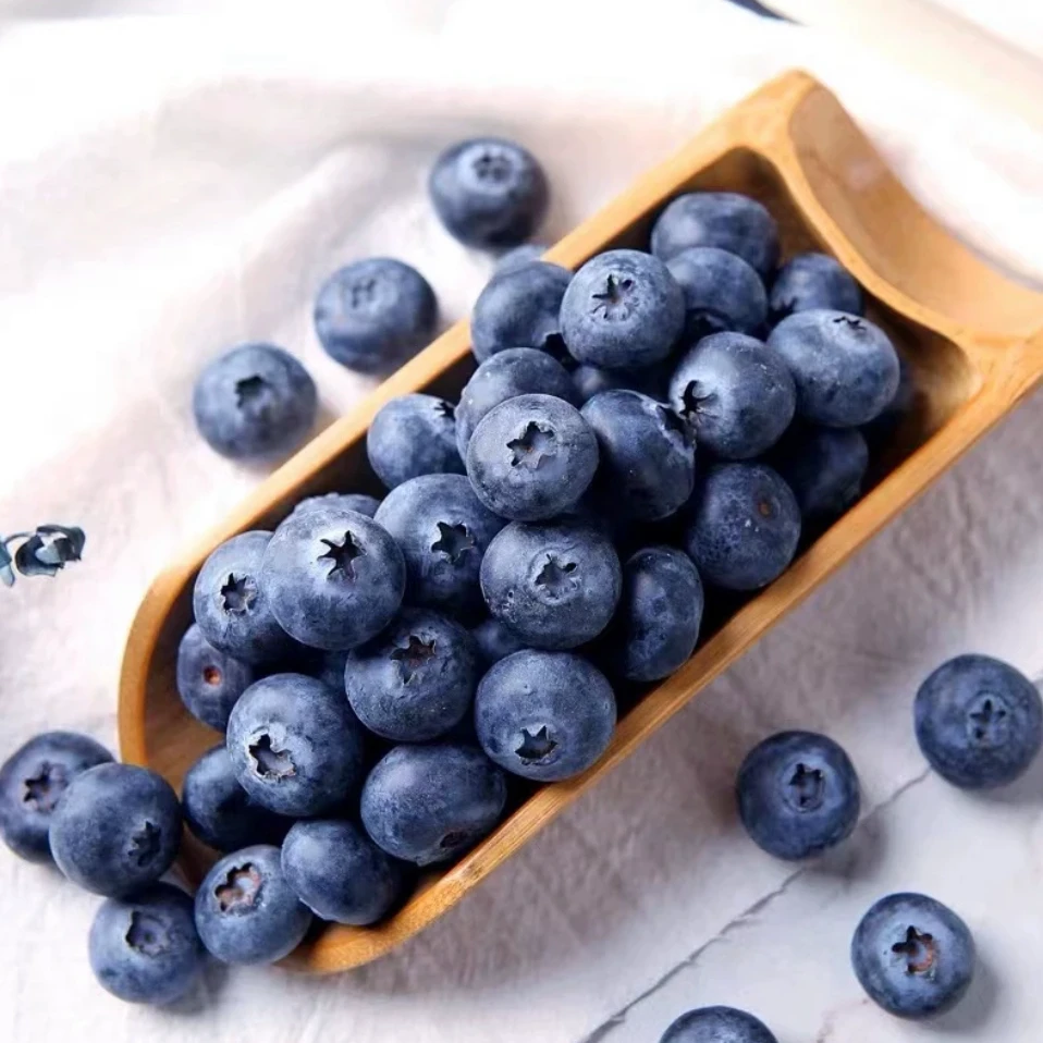 正宗云南高山花香蓝莓新鲜香脆蓝莓鲜果富含花青素小孩4/6/8盒