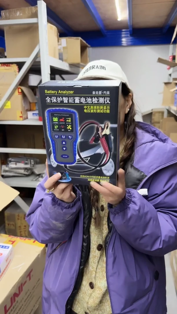 泰克曼TM2020A智能蓄电池测试仪