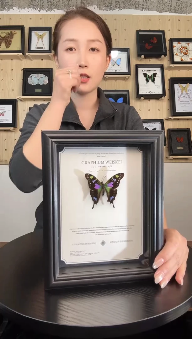 玫瑰青凤蝶（蝴蝶装饰画8寸框）