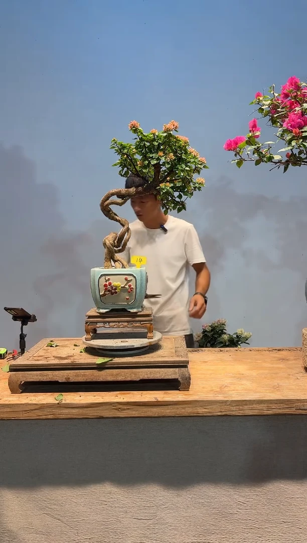 无花朵D***n塔橙14