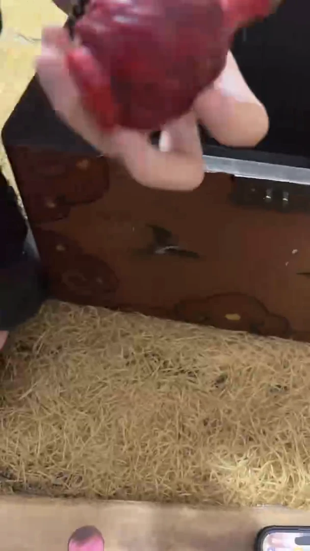 【闪购商品】【闪购商品】