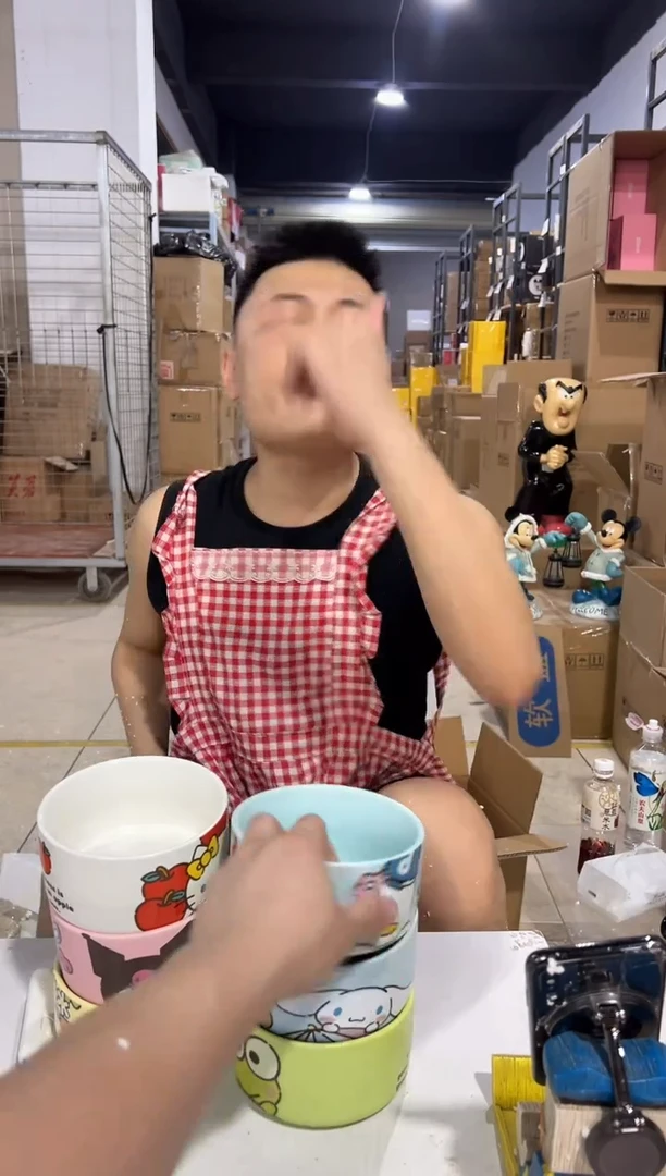 瓷片三利鸥饭碗6件套