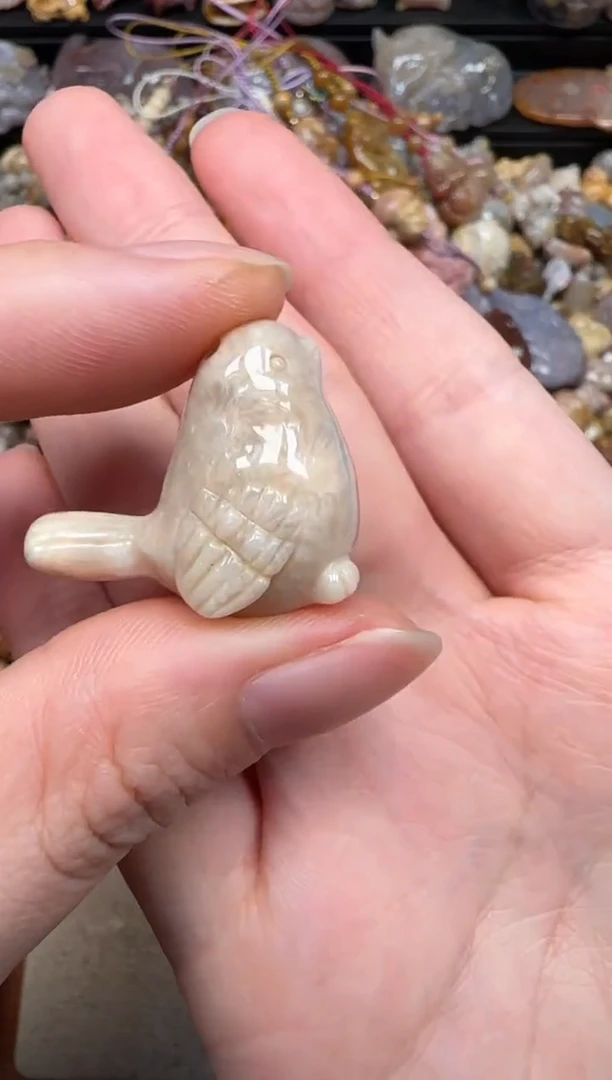 硅化珊瑚（珊瑚玉）未镶嵌颈饰006