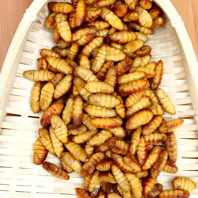 山东特产小蚕蛹新鲜冷冻原味干湿蚕蛹4斤装