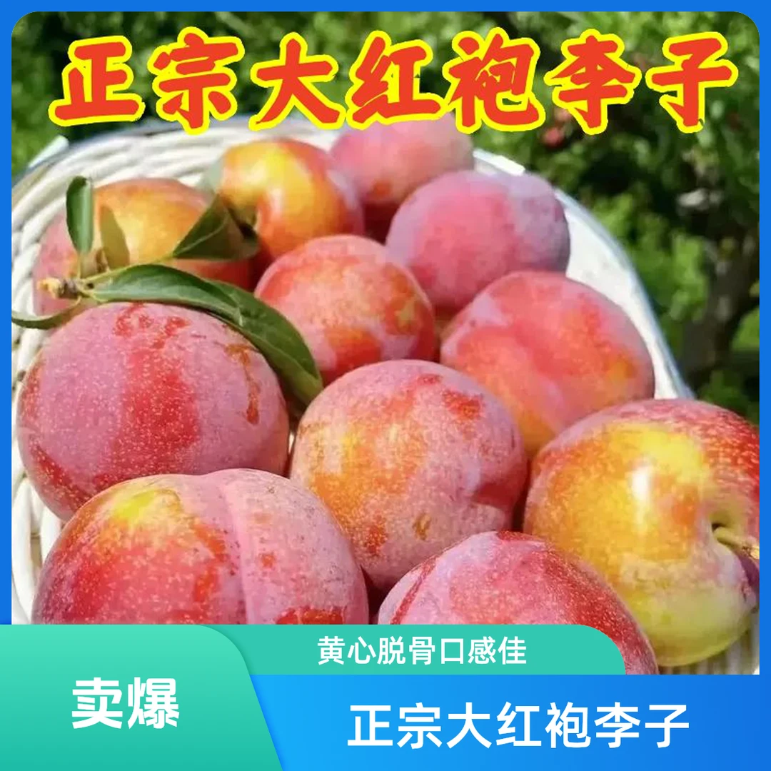 【顺丰包邮】正宗大红袍李子西梅李脱骨李新鲜水果助农水果产地直发