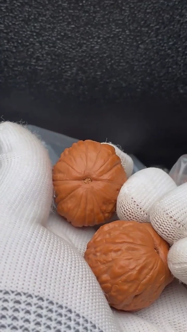 【闪购商品】文玩核桃把件龟甲纹