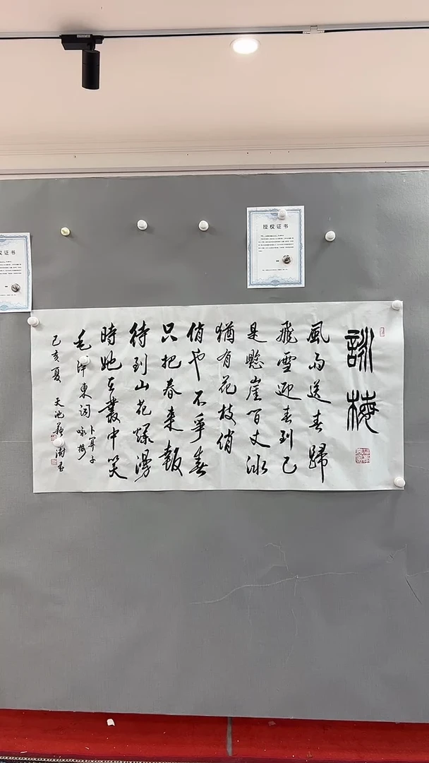 【闪购商品】书法雅艺典藏文化书法