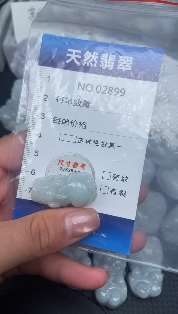 颈饰未镶嵌翡翠纯天然A货翡翠2899