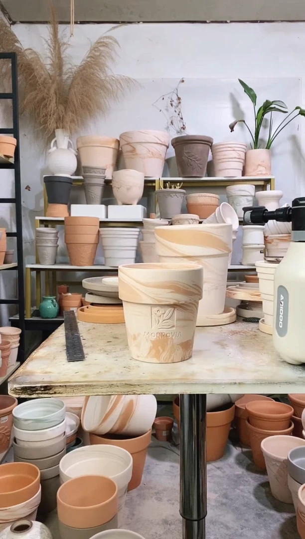 14.5*16玛奇朵反比例 1盆无托