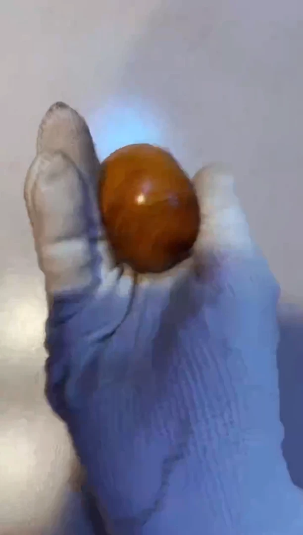 柏木（崖柏）16崖柏陈华手串手把